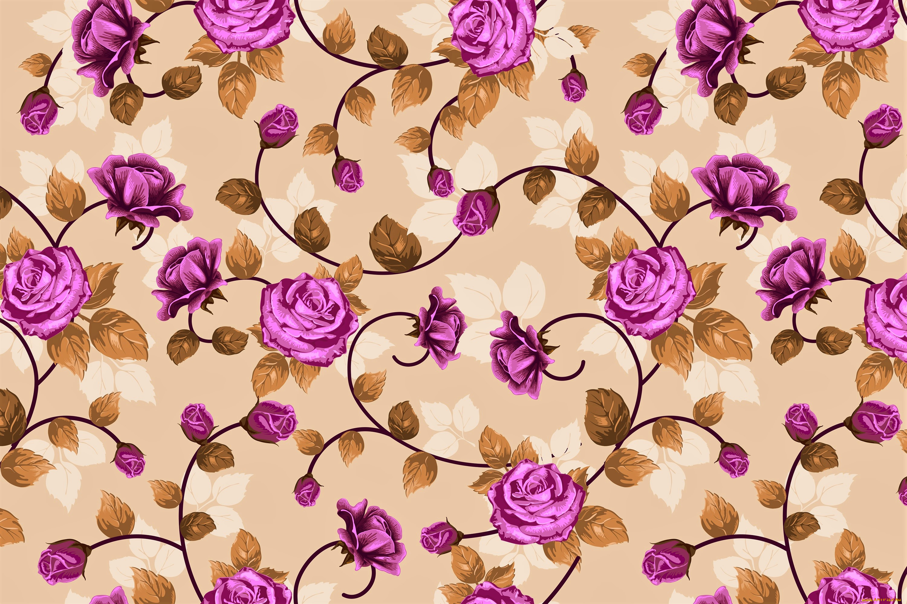  ,  , flowers, , 
